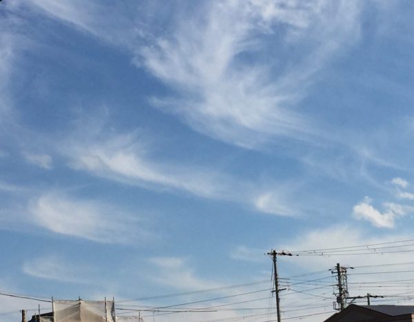 お引渡し🏠