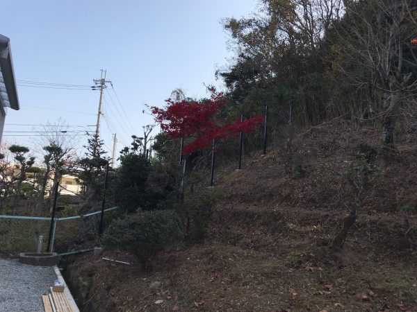お庭の板塀🌳
