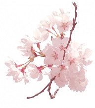 🌸お花見🍡🌸
