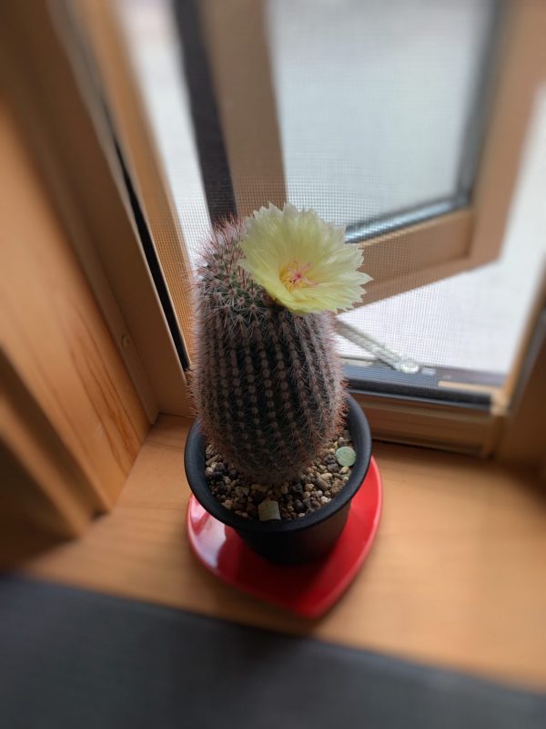 こんにちは🌞